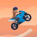Rider Rush 3D